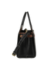 Title Check tote, side view